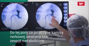 Źródło kamicy nerkowej. Przełomowe badania Japończyków