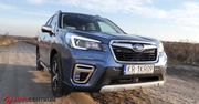 Subaru Forester e-boxer - wymyka się z definicji SUV-a