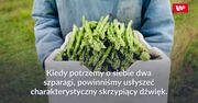 Jak wybrać najlepsze szparagi?