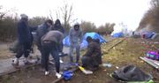 Dramat uciekinierów w Calais. Straszne, jak dotarli do Europy