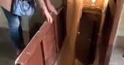 Znaleźli tajne przejście do piwnicy. Ich oczom ukazał się niezwykły widok