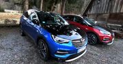 Opel Grandland X Hybrid4 - 300 KM to za mało?