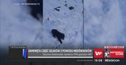 Niedźwiadek na szlaku w Tatrach. Dyrektor TPN: "Niech natura zdecyduje, co robić"