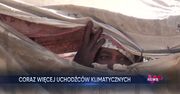 Polska Akcja Humanitarna o postępującym kryzysie klimatycznym