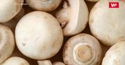 Jak dobrze oczyścić pieczarkę? Zobacz, co zrobić, by grzyby były pyszne