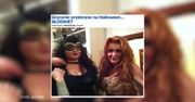 Pudelek ubiera gwiazdy na Halloween: "Rozenek powinna przebrać się za Rusin"