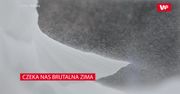Czeka nas "brutalna" zima
