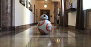 Robot BB-8 z "Gwiezdnych wojen". Zrobiła go polska studentka