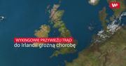 To Wikingowie przywieźli trąd do Irlandii