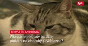 Właściciele kotów bardziej podatni na choroby psychiczne?