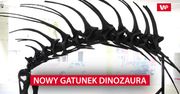 Nowy gatunek dinozaura