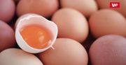 Jajka - jeść czy nie?