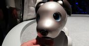 CES 2019: Sony Aibo