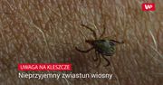 Uwaga na kleszcze