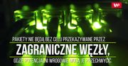 Rosja odłączy się od internetu