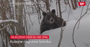 Dlaczego Grzesiu nie spał. Kolejne nagranie leśniczego z Polanek