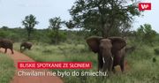 Szarża słonia. Nagranie turysty
