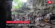 Przełom w badaniu ewolucji człowieka. Oto nasz nowy kuzyn