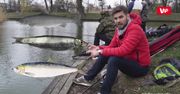 Najgorsze gatunki ryb. Lepiej z nich zrezygnować