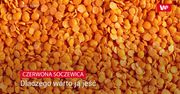 Czerwona soczewica. Dlaczego warto ją jeść