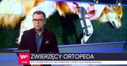 Kiedyś leczył ludzi, dziś ratuje niepełnosprawne zwierzęta