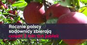 Sadownicy przerażeni stratami. Owoce mogą być rekordowo drogie