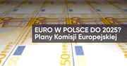 Euro w Polsce do 2025 r.? Tego miała chcieć Komisja Europejska