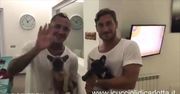 #dziejesiewsporcie: Grosicki trenuje na wakacjach, Totti adoptuje bulldoga