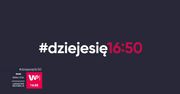 Bruksela chroni Puszczę Białowieską