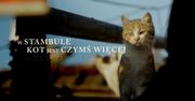''Kedi - sekretne życie kotów'' - zwiastun