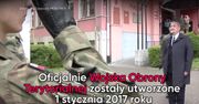 Wojska Obrony Terytorialnej - co się kryje za nowym rodzajem sił zbrojnych?