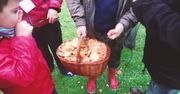 Odrobina Więcej Polski [odcinek 2]