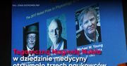 Jak działa zegar biologiczny? Nobel w dziedzinie medycy 2017