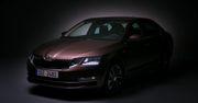 Nowa Skoda Octavia