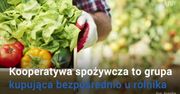 Kooperatywy spożywcze. Alternatywa dla marketów?