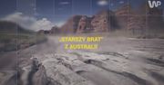 „Starszy brat” z Australii [Pixel]