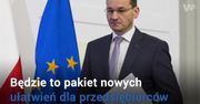 Konstytucja biznesu Morawieckiego. Nowa "ustawa Wilczka"?