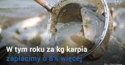 Indeks karpia. Znowu stać nas na mniej