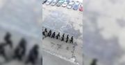 "To jest moja prawa ręka, to jest moja lewa ręka". Absurdalne szkolenie policjantów