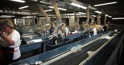 300 ton ciuchów dziennie. Byliśmy w największej w Polsce sortowni używanej odzieży