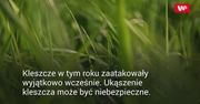 Ugryzł Cię kleszcz? Obserwuj ranę