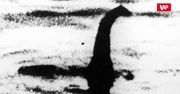 Poszukiwania potwora z Loch Ness. Naukowcy pobiorą próbki DNA