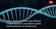 Nadzieja dla wielu chorych na alzheimera
