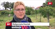 Najlepsze miejsce na urlop z dala od tłumów. Odwiedź portugalskie Alentejo