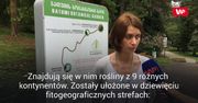 Malownicze okolice Batumi. Miejsca, które koniecznie trzeba zobaczyć