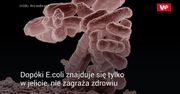 Bakterie E.coli na sklepowym drobiu zwiększają ryzyko infekcji dróg moczowych