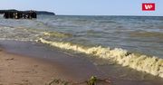 Sinice w Bałtyku. Plaże w Trójmieście zamknięte