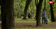 Zaatakował i zgwałcił kobietę w warszawskim parku. Sprawę bada prokuratura