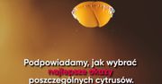 Smaczne i zdrowe: jak wybrać najlepsze cytrusy