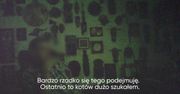 Kulisy branży wróżbiarskiej. Zdemaskowaliśmy jasnowidza